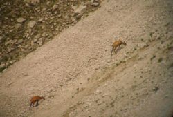 Regina-F-Rau_2013-08-15_Frohkostgipfel  (119).JPG